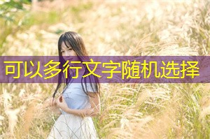 土地利用与可持续生计：上海的最佳实践